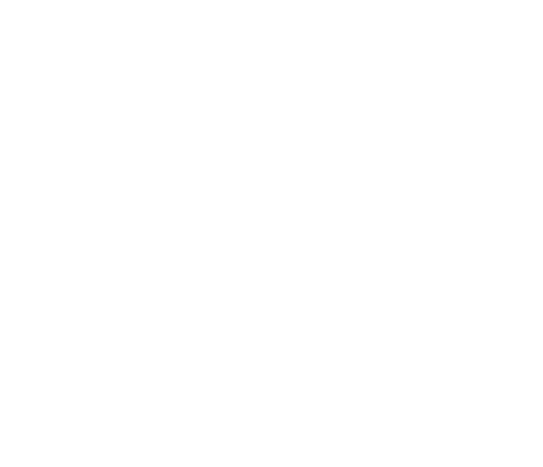 International Association of Certified Home Inspectors